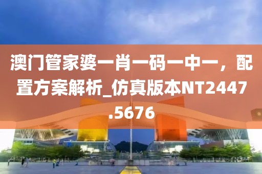 澳門管家婆一肖一碼一中一，配置方案解析_仿真版本NT2447.5676
