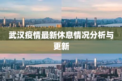 武漢疫情最新休息情況分析與更新