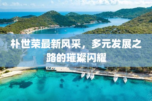 樸世榮最新風(fēng)采，多元發(fā)展之路的璀璨閃耀
