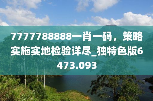 7777788888一肖一碼，策略實(shí)施實(shí)地檢驗(yàn)詳盡_獨(dú)特色版6473.093