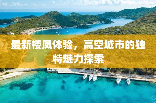 最新樓鳳體驗(yàn)，高空城市的獨(dú)特魅力探索