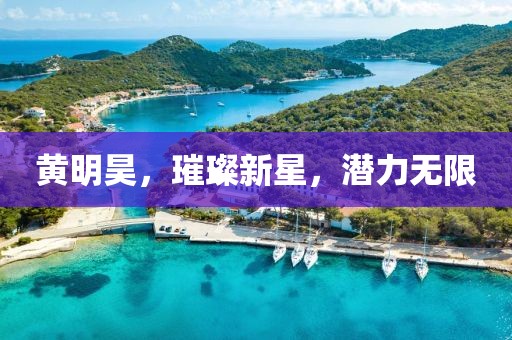 黃明昊，璀璨新星，潛力無限