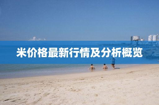 米價(jià)格最新行情及分析概覽