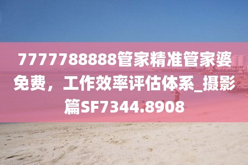 7777788888管家精準(zhǔn)管家婆免費(fèi)，工作效率評(píng)估體系_攝影篇SF7344.8908