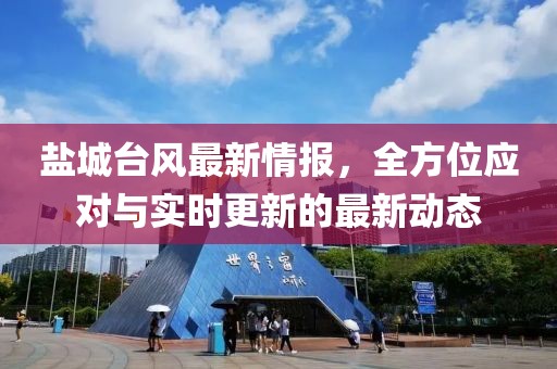 鹽城臺風(fēng)最新情報，全方位應(yīng)對與實時更新的最新動態(tài)