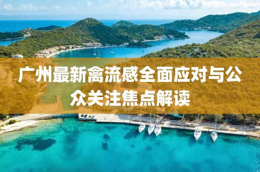 廣州最新禽流感全面應(yīng)對(duì)與公眾關(guān)注焦點(diǎn)解讀
