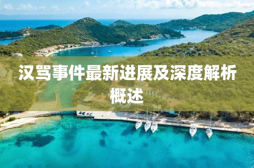 漢罵事件最新進(jìn)展及深度解析概述