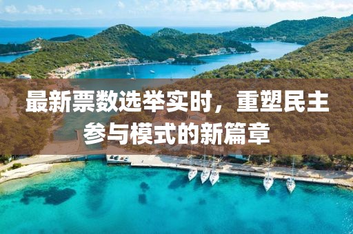 最新票數(shù)選舉實時，重塑民主參與模式的新篇章
