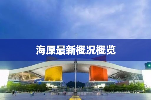 海原最新概況概覽