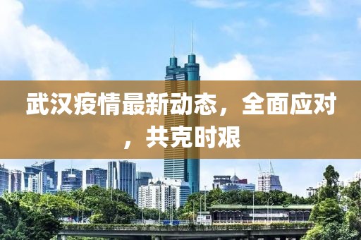 武漢疫情最新動態(tài)，全面應(yīng)對，共克時艱