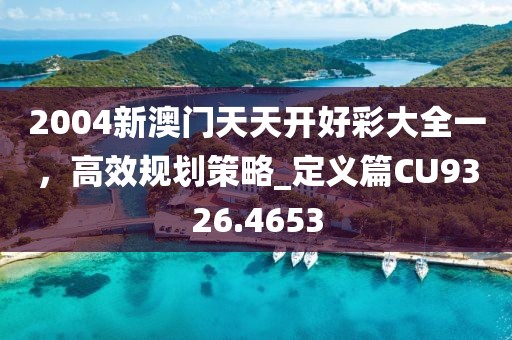2004新澳門天天開好彩大全一，高效規(guī)劃策略_定義篇CU9326.4653
