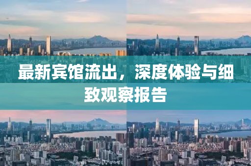 最新賓館流出，深度體驗與細致觀察報告