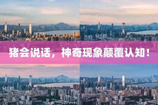 豬會(huì)說(shuō)話，神奇現(xiàn)象顛覆認(rèn)知！