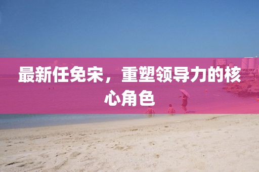 最新任免宋，重塑領(lǐng)導(dǎo)力的核心角色