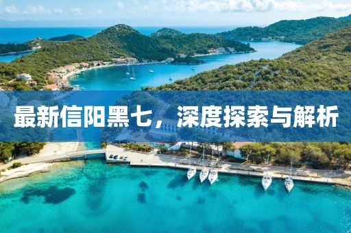 最新信陽黑七，深度探索與解析