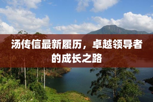 湯傳信最新履歷，卓越領(lǐng)導(dǎo)者的成長(zhǎng)之路