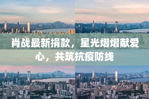 肖戰(zhàn)最新捐款，星光熠熠獻(xiàn)愛(ài)心，共筑抗疫防線