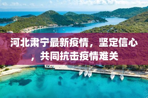 河北肅寧最新疫情，堅(jiān)定信心，共同抗擊疫情難關(guān)