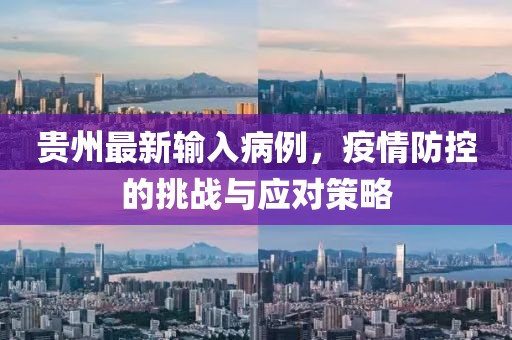 貴州最新輸入病例，疫情防控的挑戰(zhàn)與應(yīng)對(duì)策略