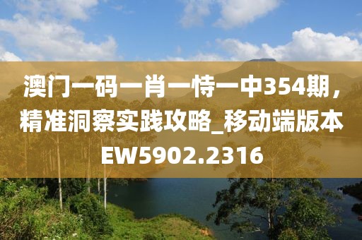 澳門一碼一肖一恃一中354期，精準(zhǔn)洞察實(shí)踐攻略_移動(dòng)端版本EW5902.2316