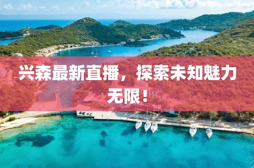 興森最新直播，探索未知魅力無限！