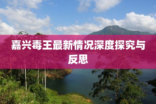 嘉興毒王最新情況深度探究與反思