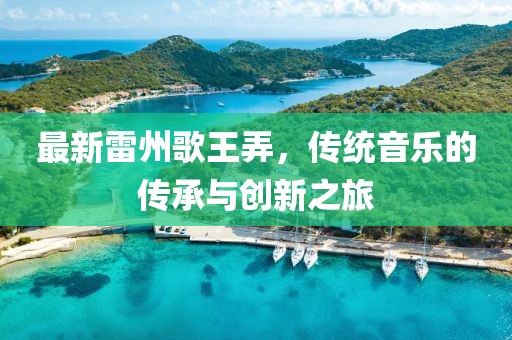 最新雷州歌王弄，傳統(tǒng)音樂(lè)的傳承與創(chuàng)新之旅