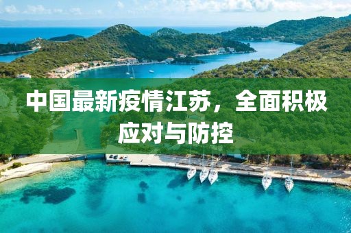 中國最新疫情江蘇，全面積極應(yīng)對與防控