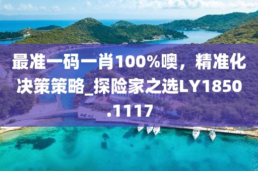最準一碼一肖100%噢，精準化決策策略_探險家之選LY1850.1117
