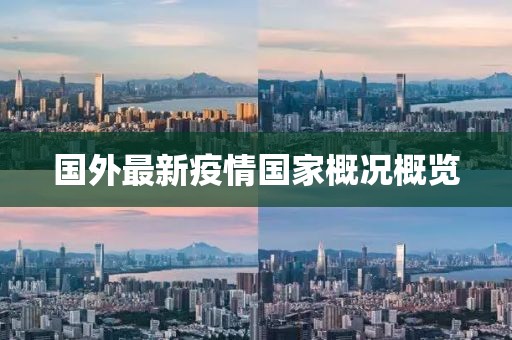 國外最新疫情國家概況概覽