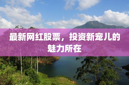 最新網(wǎng)紅股票，投資新寵兒的魅力所在