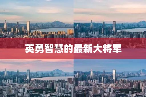 英勇智慧的最新大將軍