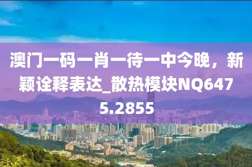 澳門一碼一肖一待一中今晚，新穎詮釋表達(dá)_散熱模塊NQ6475.2855