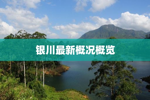 溫柔不夠 第12頁(yè)