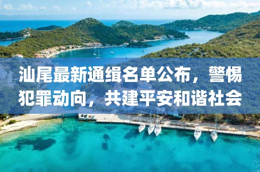 汕尾最新通緝名單公布，警惕犯罪動(dòng)向，共建平安和諧社會(huì)