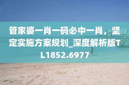 管家婆一肖一碼必中一肖，堅定實施方案規(guī)劃_深度解析版TL1852.6977