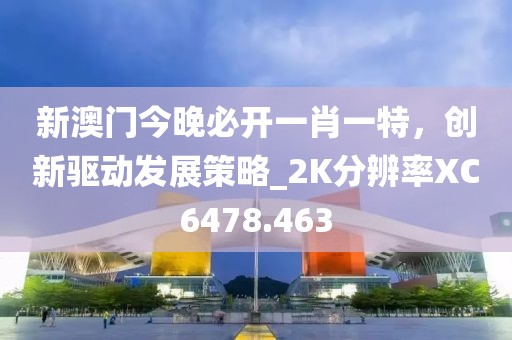 新澳門今晚必開一肖一特，創(chuàng)新驅(qū)動發(fā)展策略_2K分辨率XC6478.463