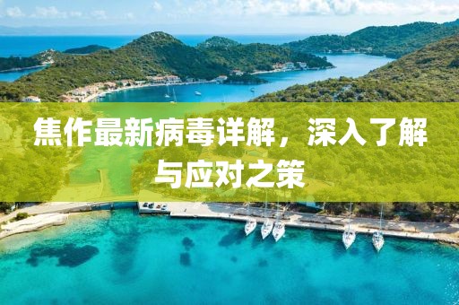 焦作最新病毒詳解，深入了解與應(yīng)對之策