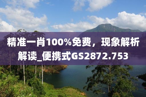精準(zhǔn)一肖100%免費(fèi)，現(xiàn)象解析解讀_便攜式GS2872.753