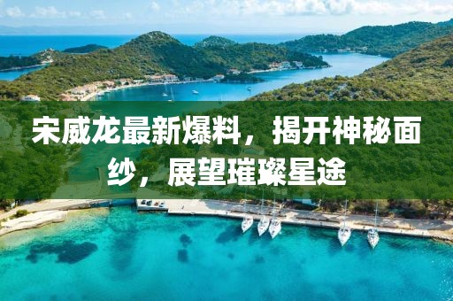 宋威龍最新爆料，揭開神秘面紗，展望璀璨星途