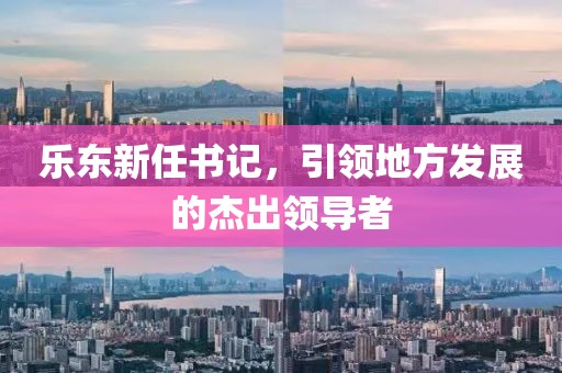 樂東新任書記，引領地方發(fā)展的杰出領導者