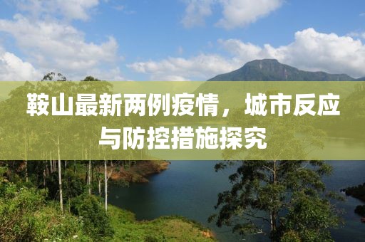 鞍山最新兩例疫情，城市反應(yīng)與防控措施探究
