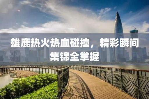雄鹿熱火熱血碰撞，精彩瞬間集錦全掌握