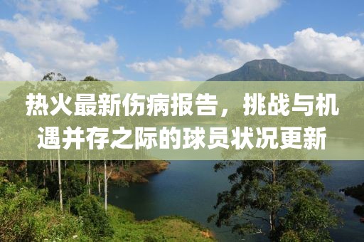 熱火最新傷病報告，挑戰(zhàn)與機遇并存之際的球員狀況更新