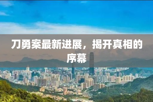 刀勇案最新進(jìn)展，揭開真相的序幕