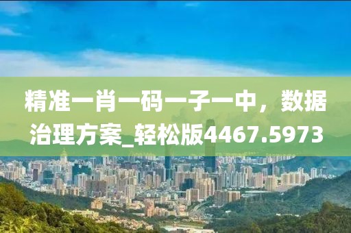 精準一肖一碼一子一中，數(shù)據(jù)治理方案_輕松版4467.5973