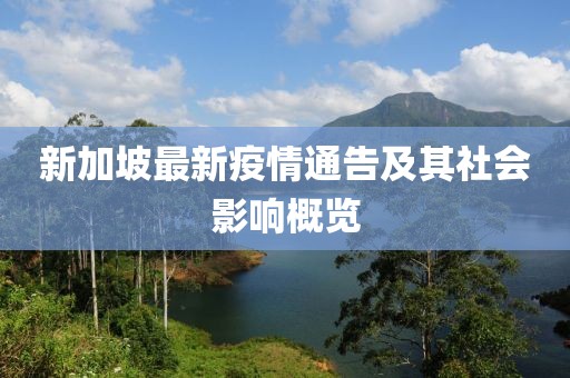 新加坡最新疫情通告及其社會(huì)影響概覽