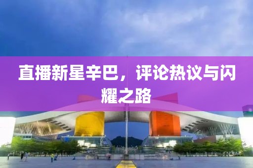 直播新星辛巴，評論熱議與閃耀之路