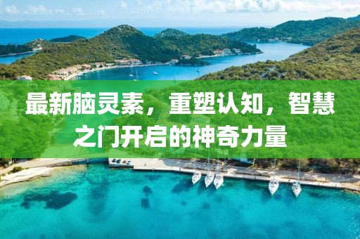 最新腦靈素，重塑認(rèn)知，智慧之門開啟的神奇力量