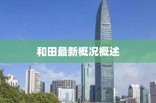和田最新概況概述